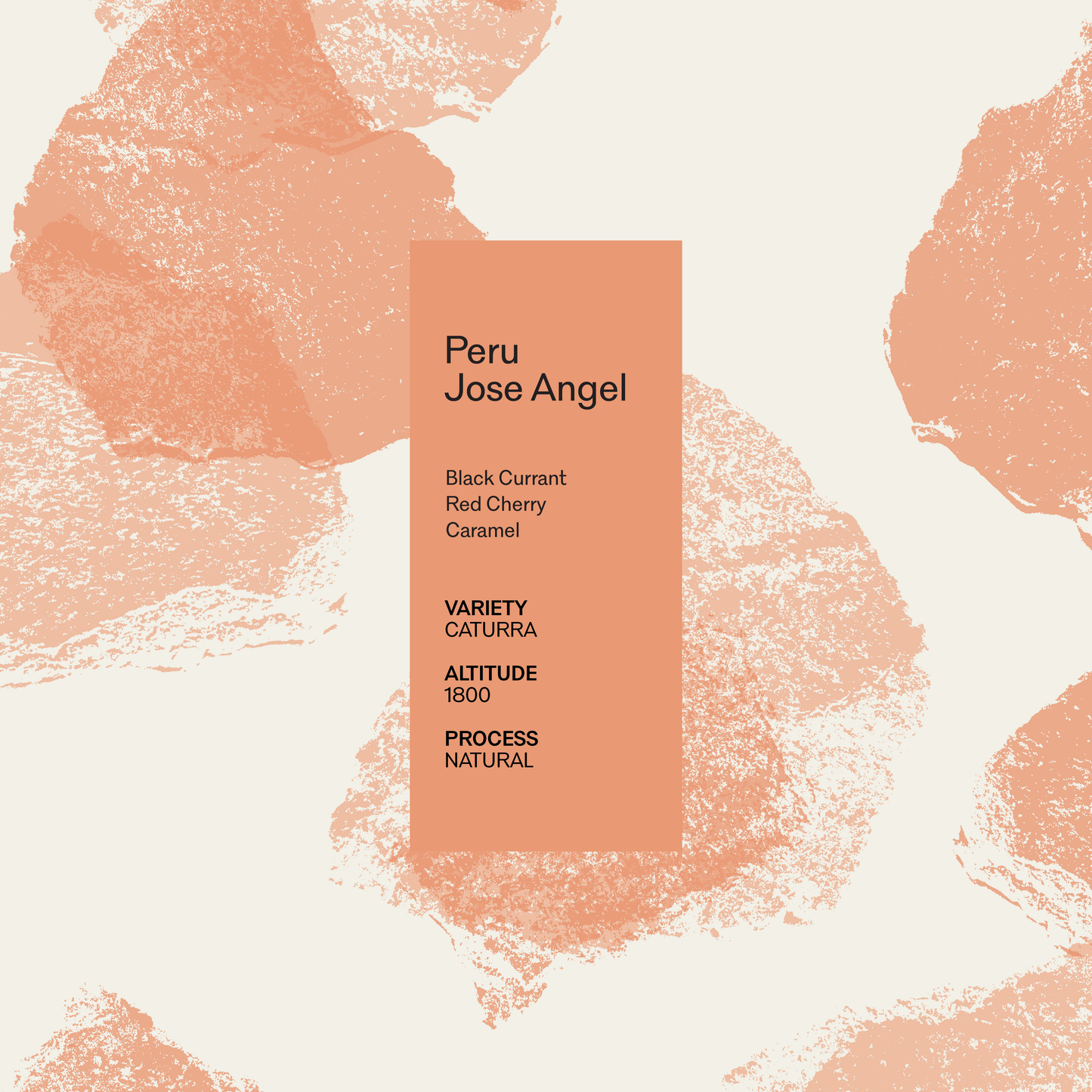 Jose Angel