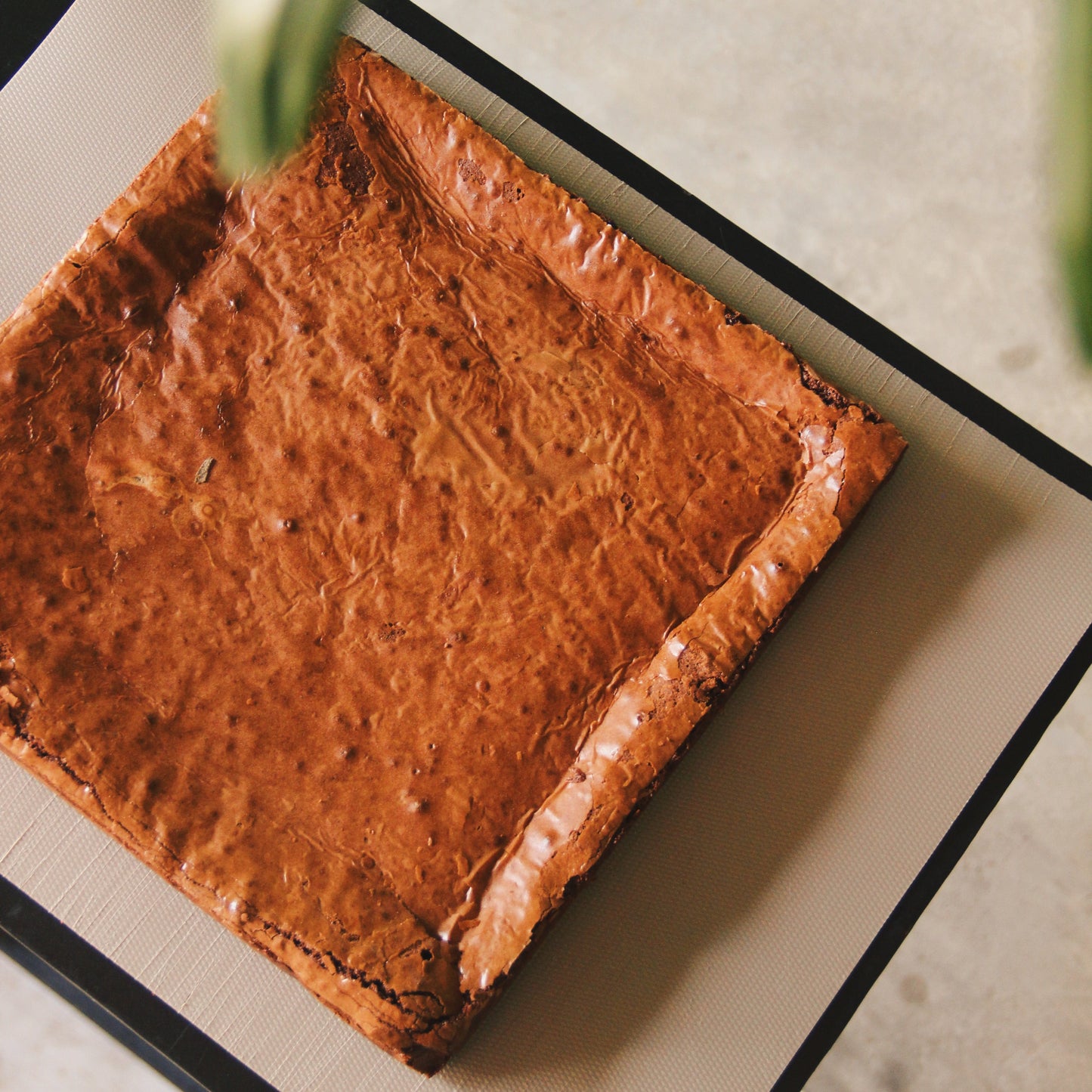 Chocolate Brownie [ 3 Days Pre-Order ]