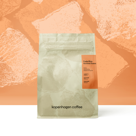 Costa Rica Hacienda Sonora