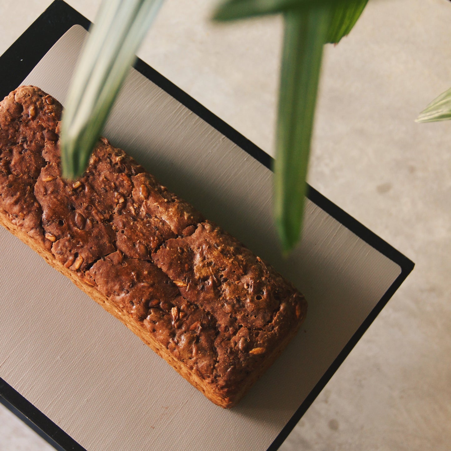 Rye Bread [ 3 Days Pre-Order ]