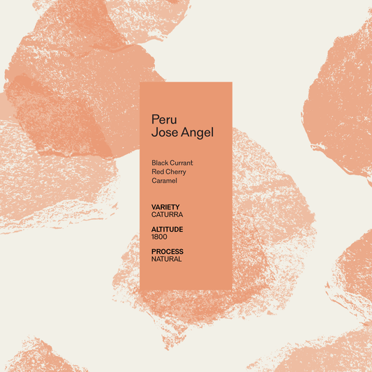 Jose Angel